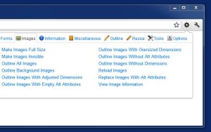 Web Developer1 300x188 - دانلود Web Developer 3.0.1 - افزونه وب دولوپر برای کروم و فایرفاکس