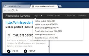 Web Developer2 300x188 - دانلود Web Developer 3.0.1 - افزونه وب دولوپر برای کروم و فایرفاکس