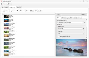 دانلود TweakNow Snap2PDF 1.2.0 - ابزار همه کاره PDF برای ویندوز TweakNow Snap2PDF2 300x197 - دانلود TweakNow Snap2PDF 1.2.0 - ابزار همه کاره PDF برای ویندوز